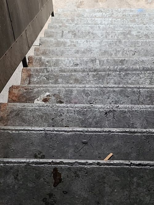 filthy stairs500x667