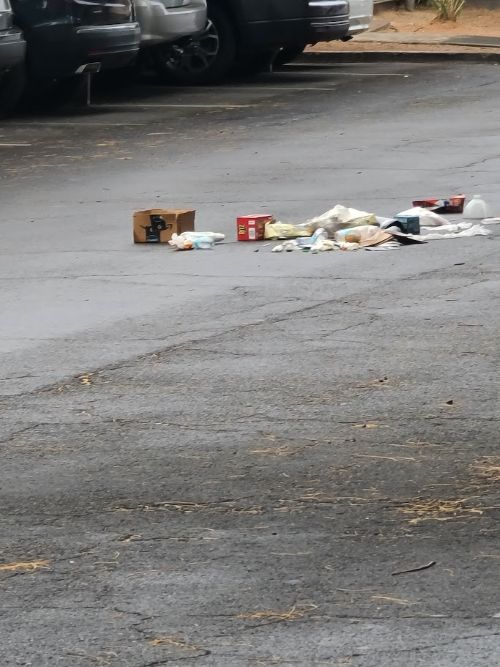 trashy parking500x667