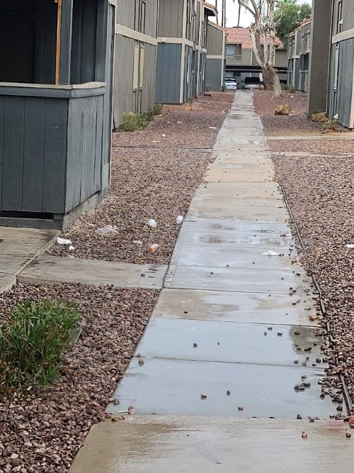 trashy walkway500x667